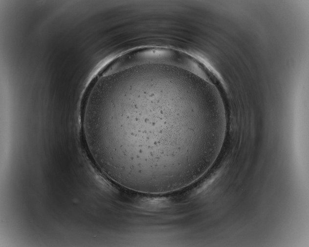 X0000087370837200704201226