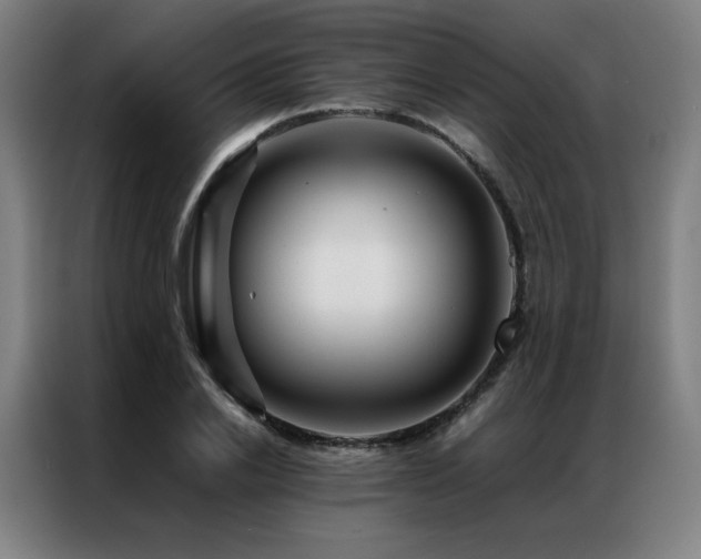 X0000087370838200704201226