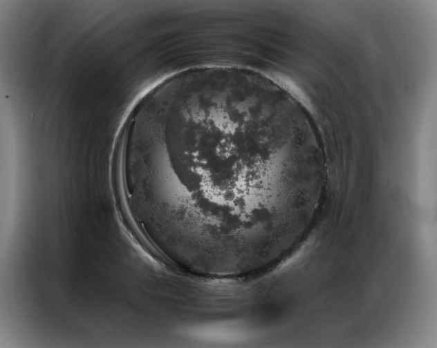 X0000087370839200704201226