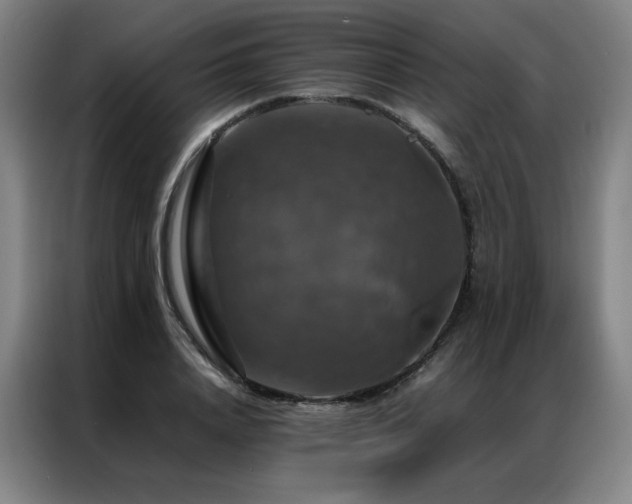 X0000087370840200704201226