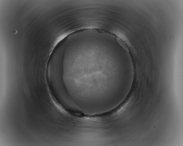 X0000087370842200704201226