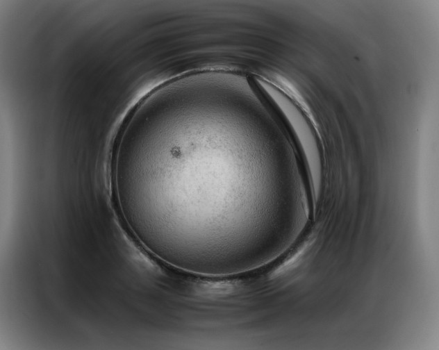 X0000087370843200704201226