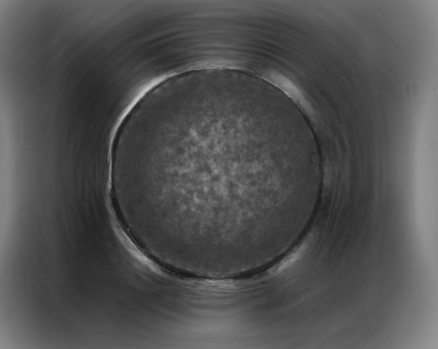 X0000087370844200704201226