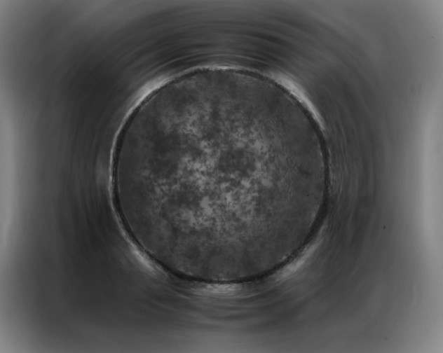 X0000087370845200704201226