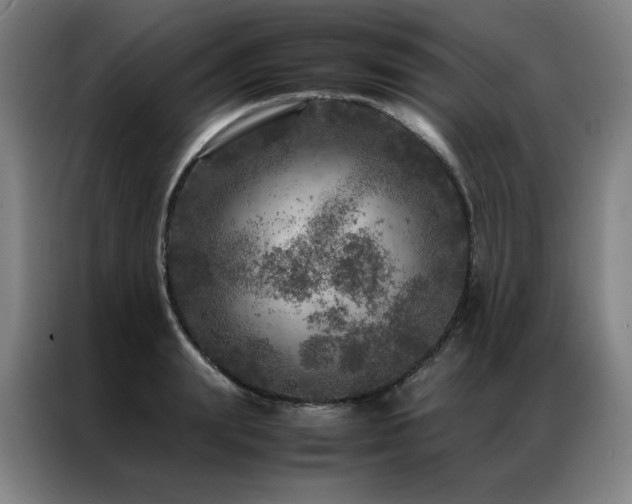 X0000087370847200704201226