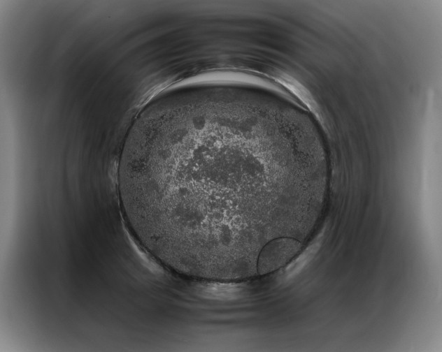 X0000087370849200704201226