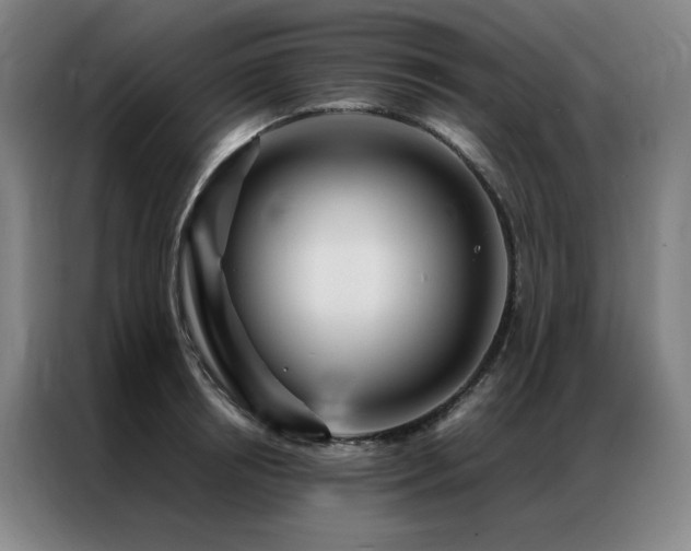 X0000087370850200704201226