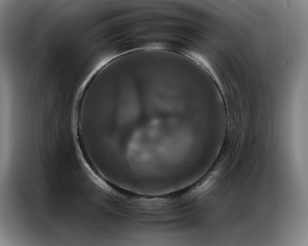 X0000087370851200704201226