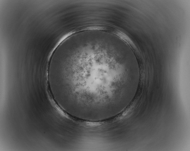 X0000087370852200704201226