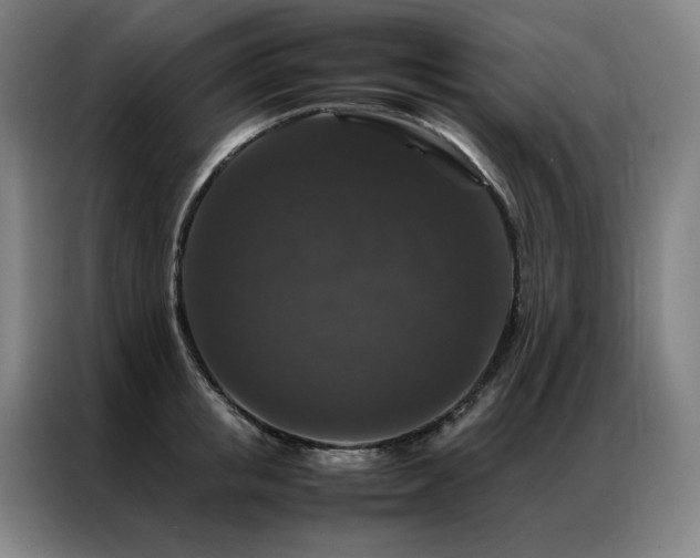 X0000087370853200704201226