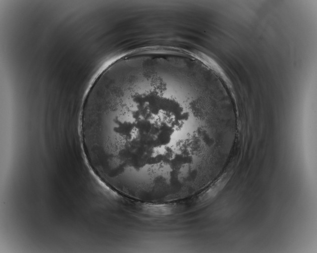 X0000087370855200704201226