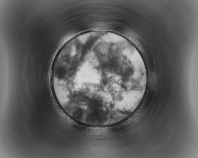 X0000087370856200704201226