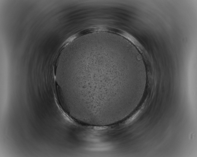 X0000087370857200704201226