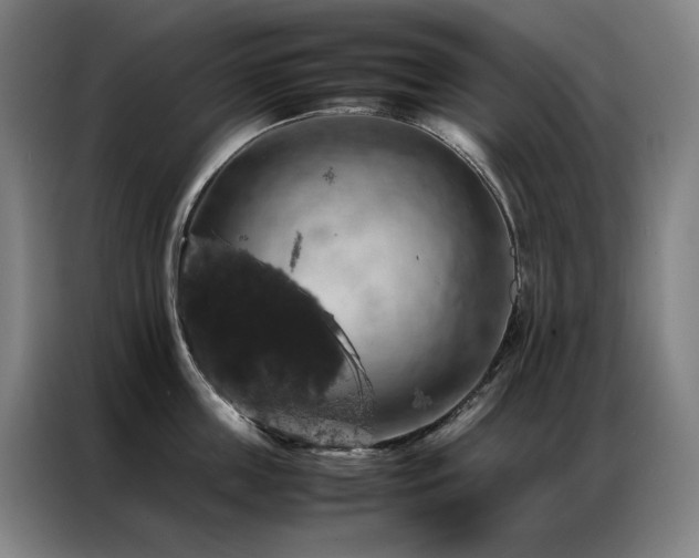 X0000087370859200704201226