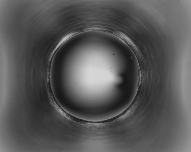 X0000087370860200704201226