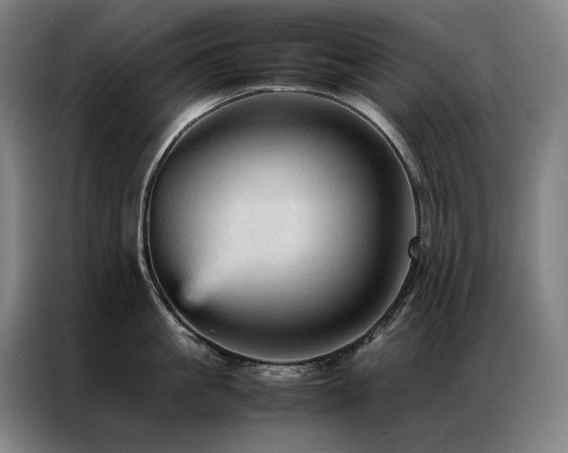 X0000087370861200704201226
