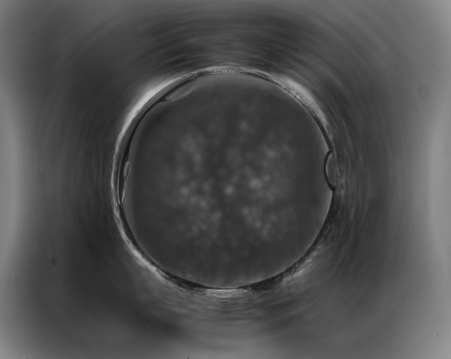 X0000087370863200704201226