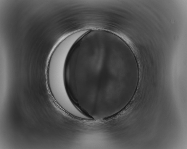 X0000087370864200704201226