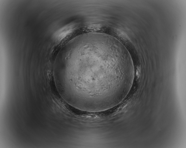 X0000087370867200704201226