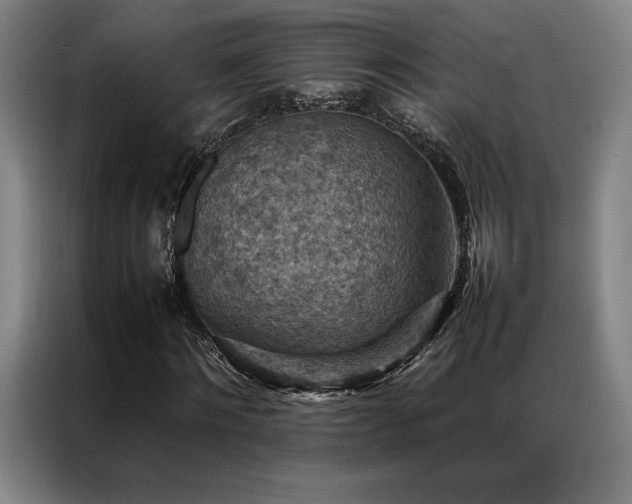 X0000087370868200704201226