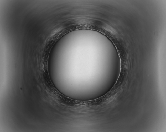 X0000087370869200704201226