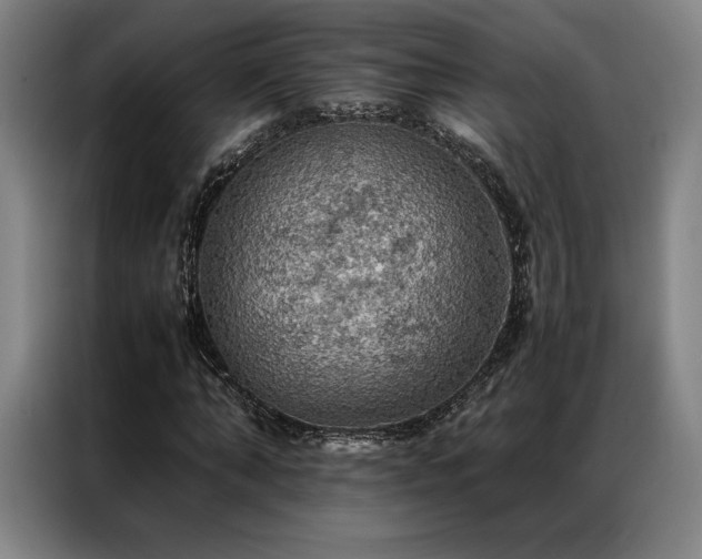 X0000087370870200704201226
