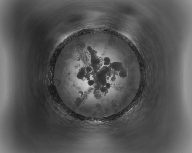 X0000087370871200704201226