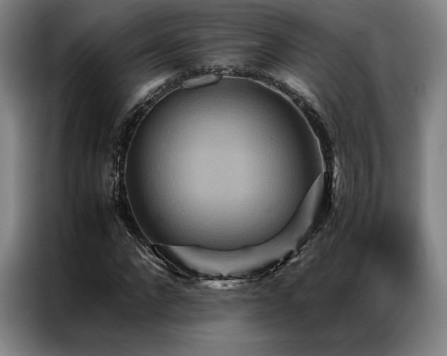 X0000087370872200704201226