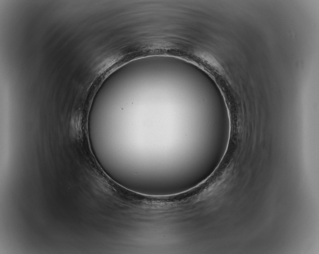 X0000087370873200704201226