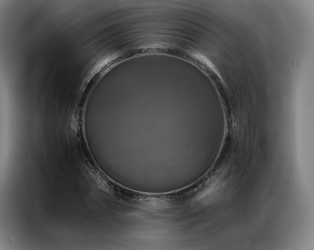 X0000087370874200704201226