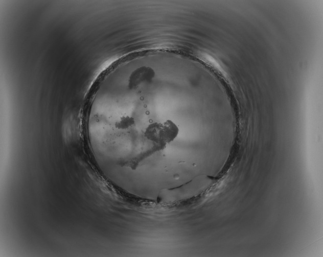 X0000087370875200704201226