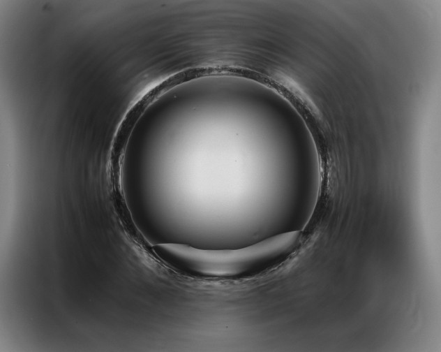 X0000087370876200704201226