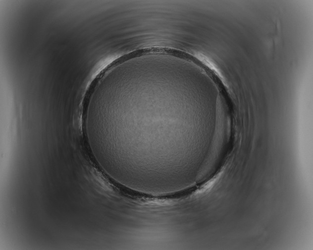 X0000087370877200704201226
