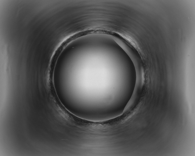 X0000087370880200704201226