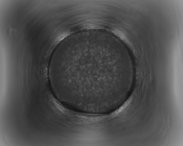 X0000087370881200704201226