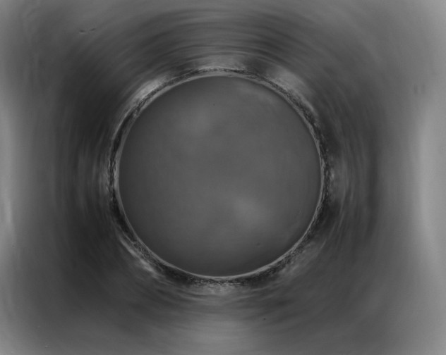 X0000087370882200704201226