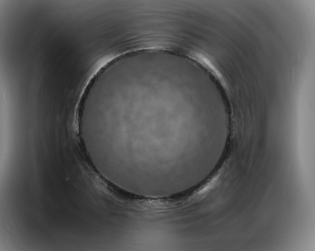 X0000087370883200704201226