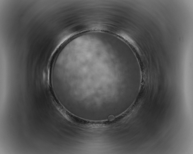 X0000087370886200704201226