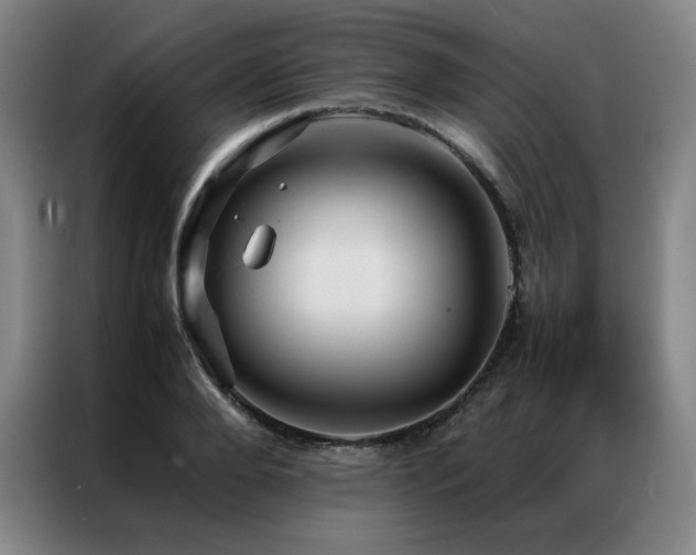 X0000087370888200704201226