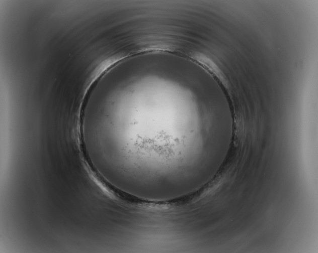 X0000087370890200704201226