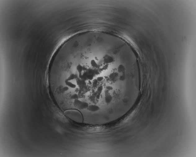 X0000087370891200704201226