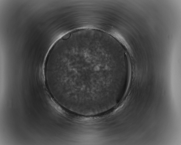 X0000087370892200704201226