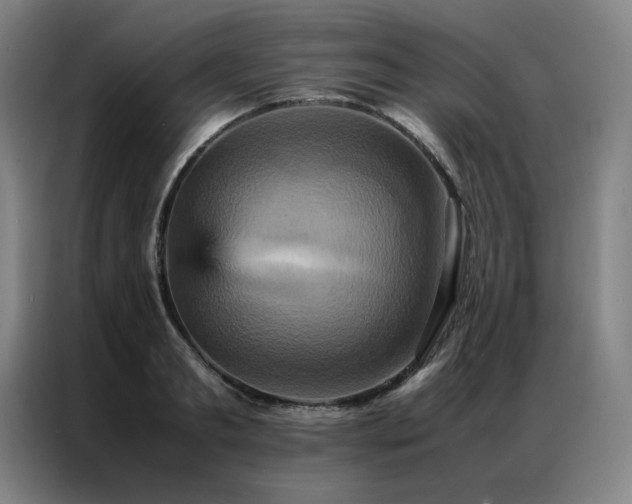 X0000087370893200704201226