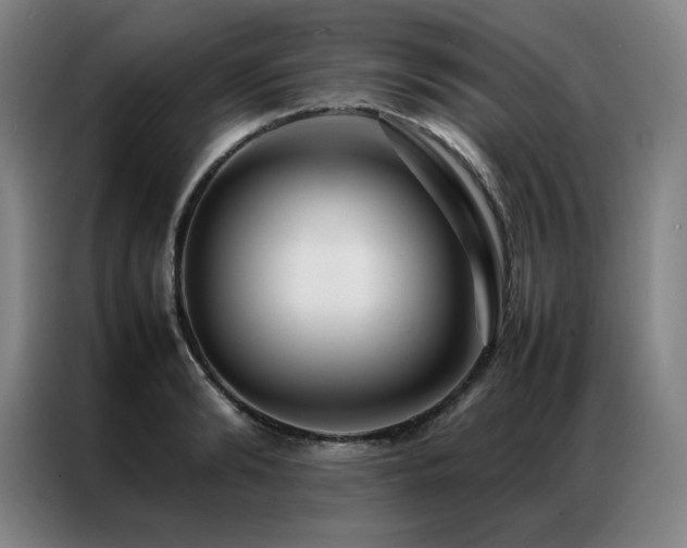 X0000087370894200704201226