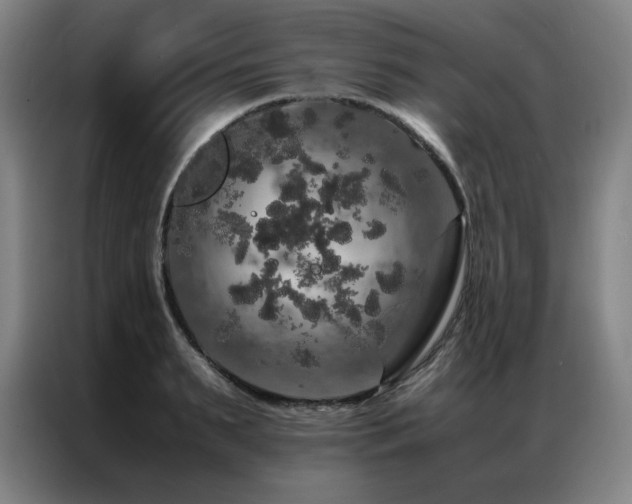 X0000087370895200704201226