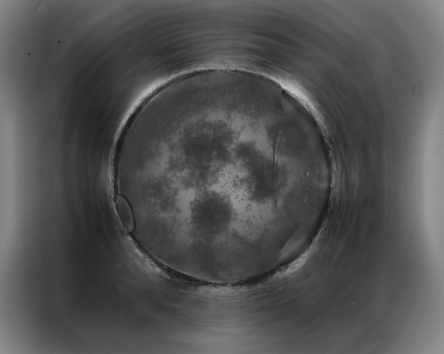 X0000087370896200704201226
