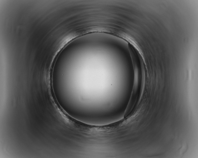 X0000087370898200704201226