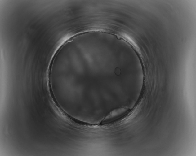 X0000087370899200704201226