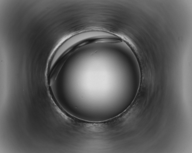 X0000087370902200704201226