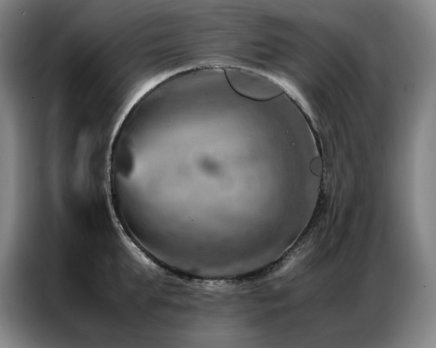 X0000087370903200704201226